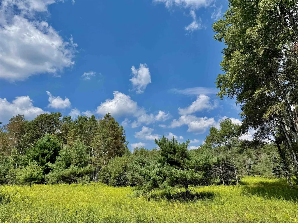 16121 130th Avenue Rose Lake Township MI 49655