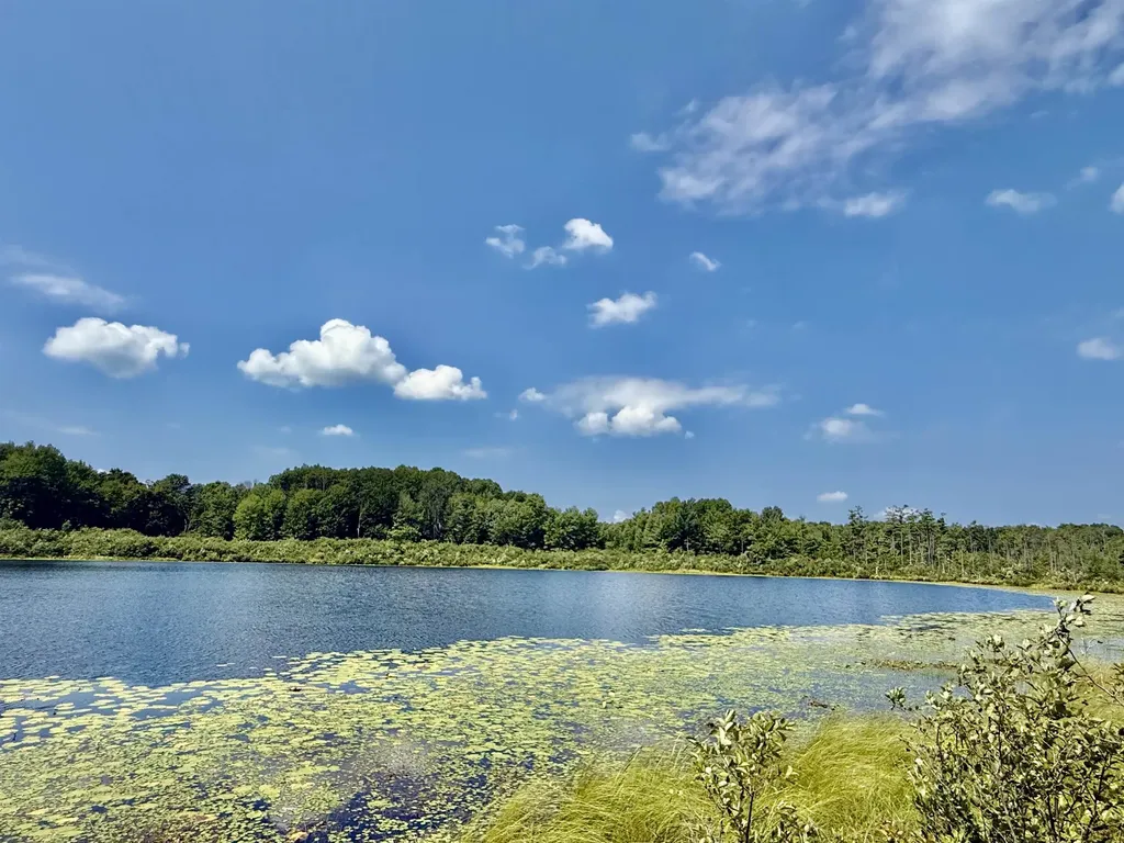 16121 130th Avenue Rose Lake Township MI 49655