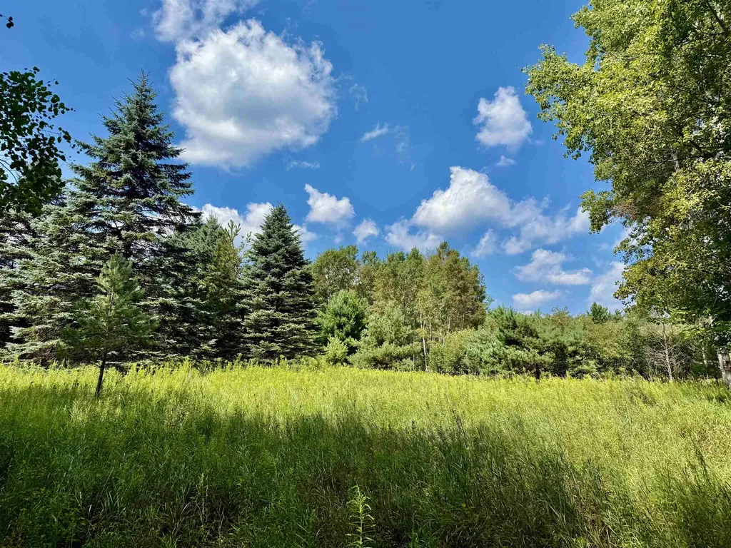 16121 130th Avenue Rose Lake Township MI 49655