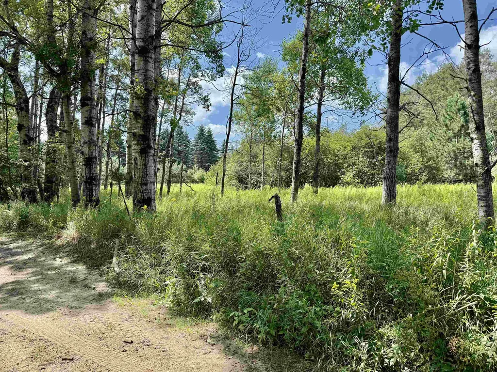 16121 130th Avenue Rose Lake Township MI 49655