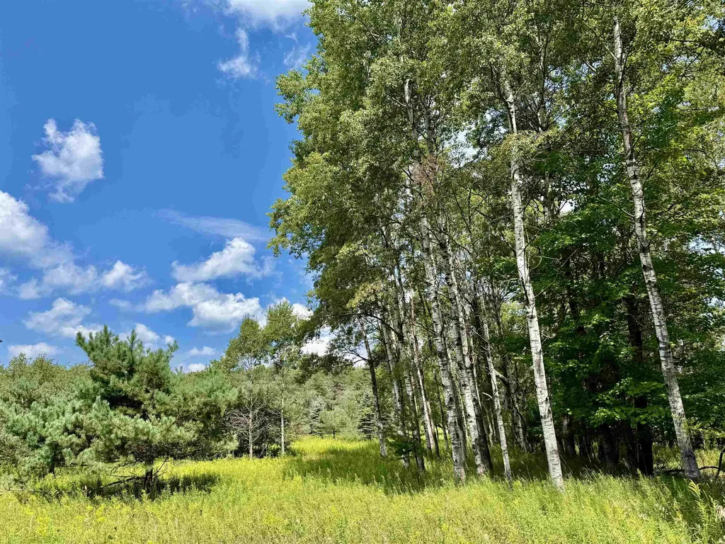 16121 130th Avenue Rose Lake Township MI 49655