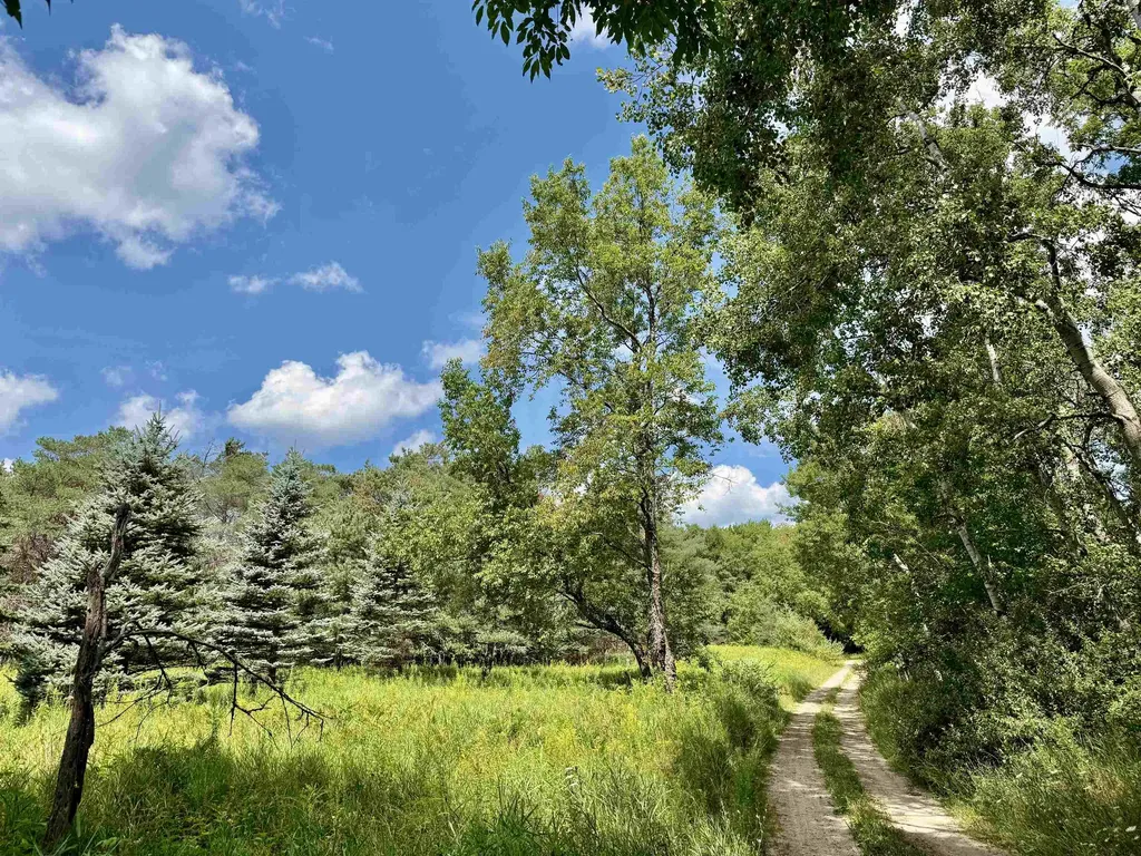 16121 130th Avenue Rose Lake Township MI 49655