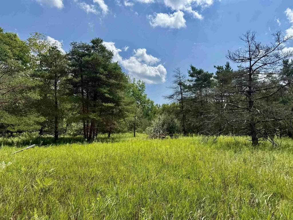 16121 130th Avenue Rose Lake Township MI 49655