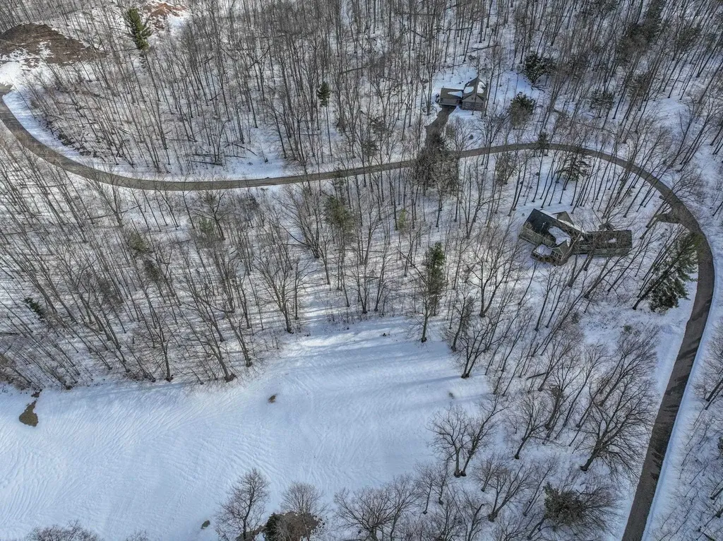 Lot 6 S Club Drive Cleveland Township MI 49621