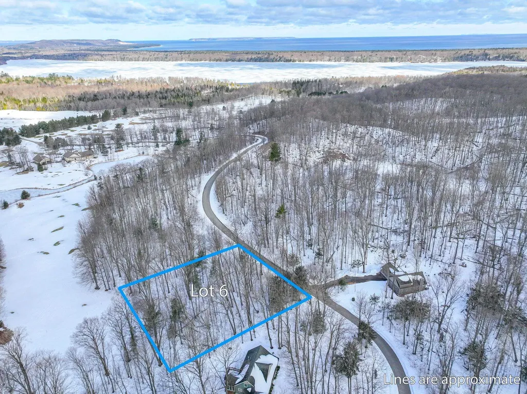 Lot 6 S Club Drive Cleveland Township MI 49621