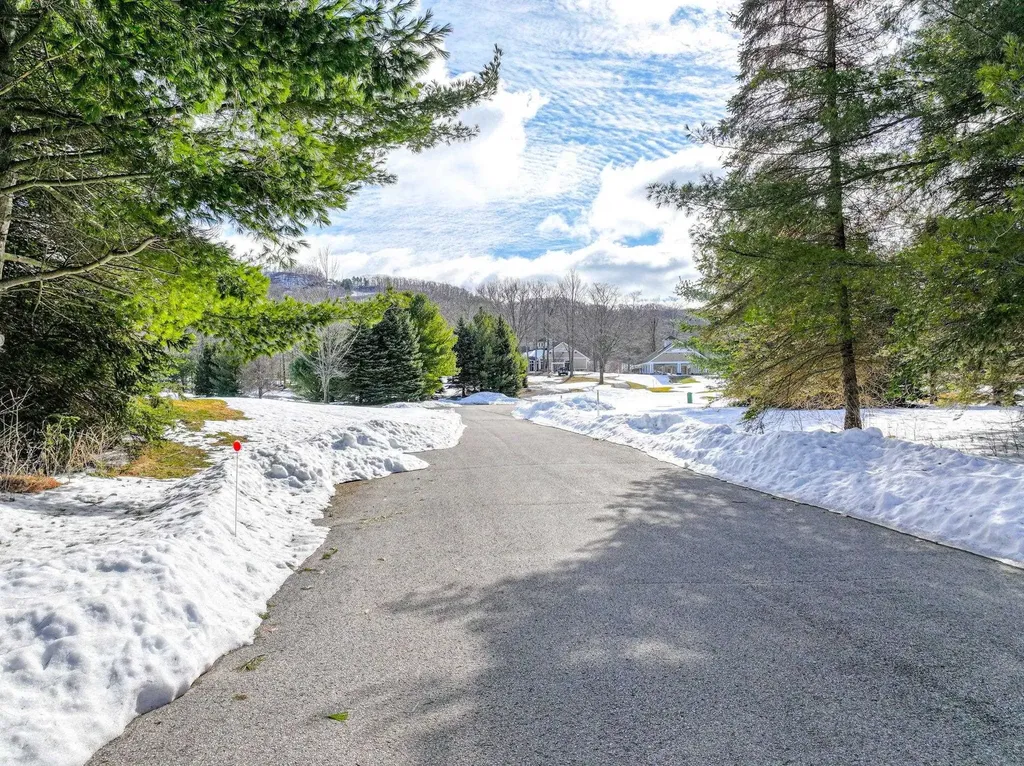 Lot 16 S Club Drive Cleveland Township MI 49621