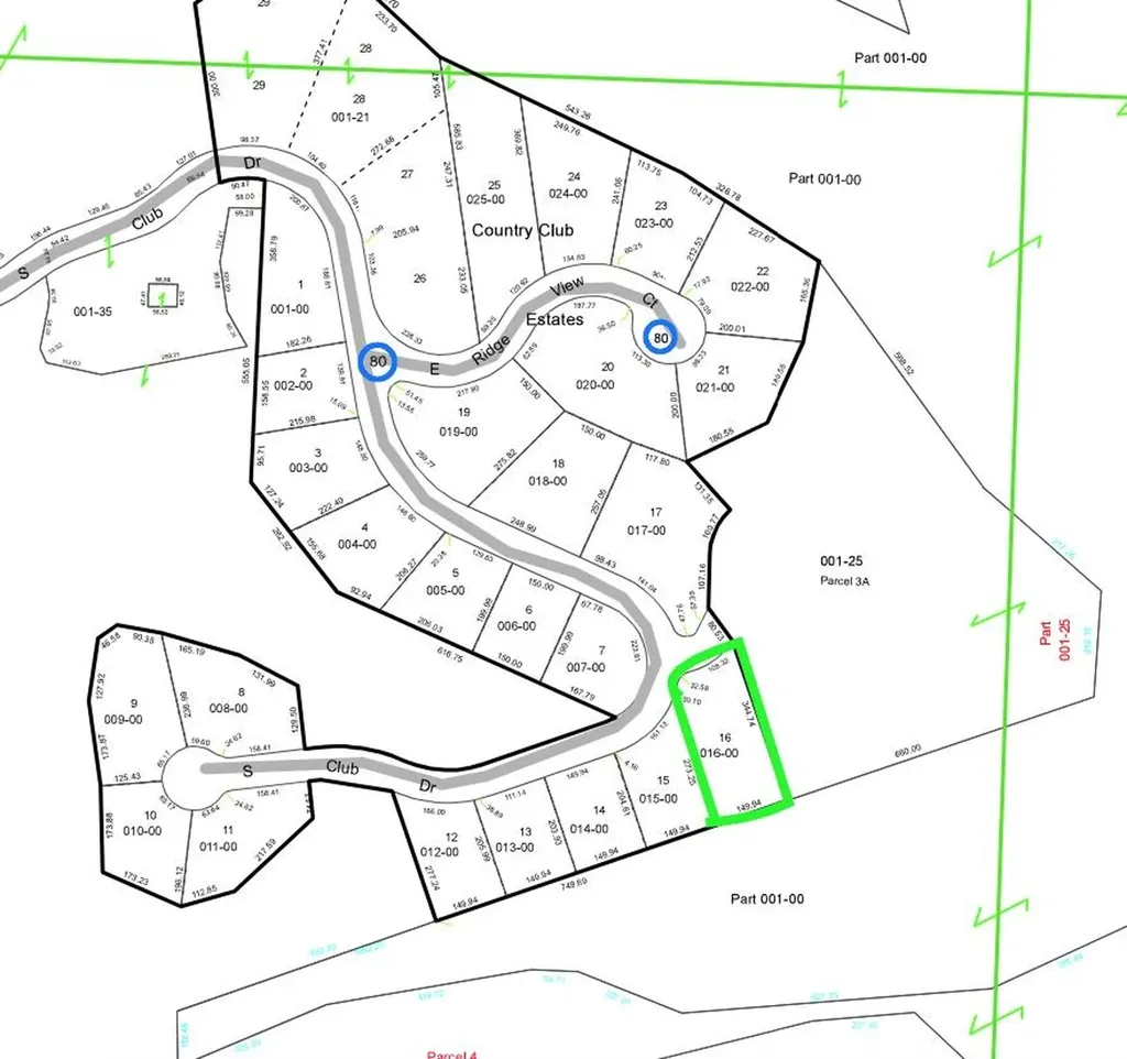Lot 16 S Club Drive Cleveland Township MI 49621