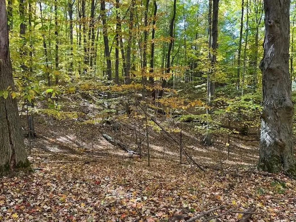 00 Glory Road Crystal Lake Township MI 49635