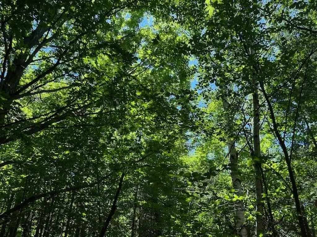00 Glory Road Crystal Lake Township MI 49635