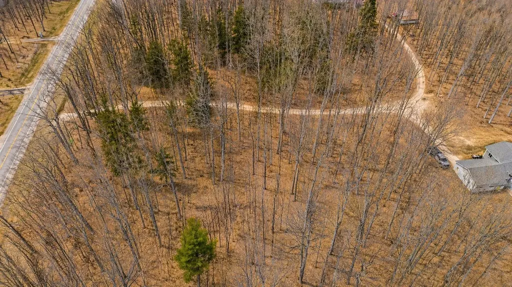 10186 Thiel Road Long Lake Township MI 49685