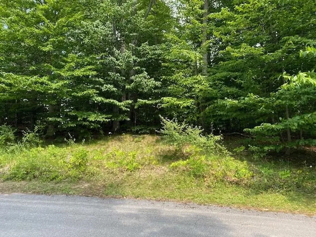 #7 Mooney Way Torch Lake Township MI 49648