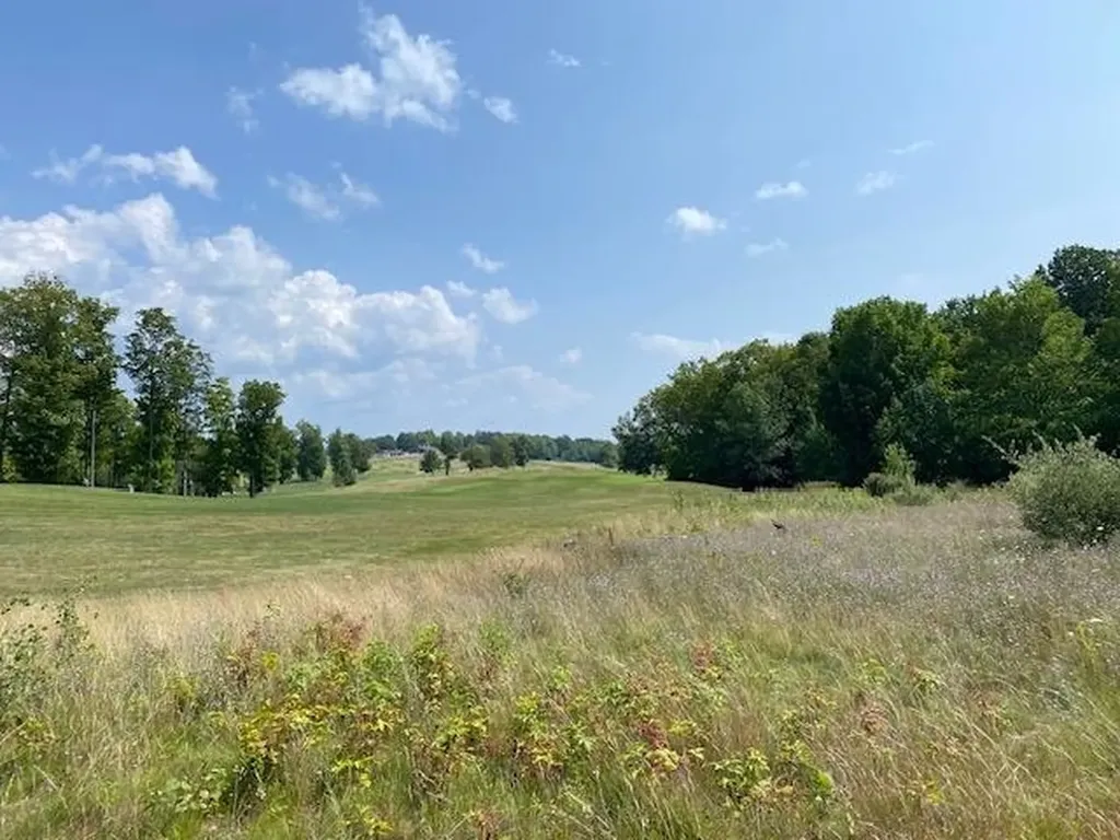 #7 Mooney Way Torch Lake Township MI 49648