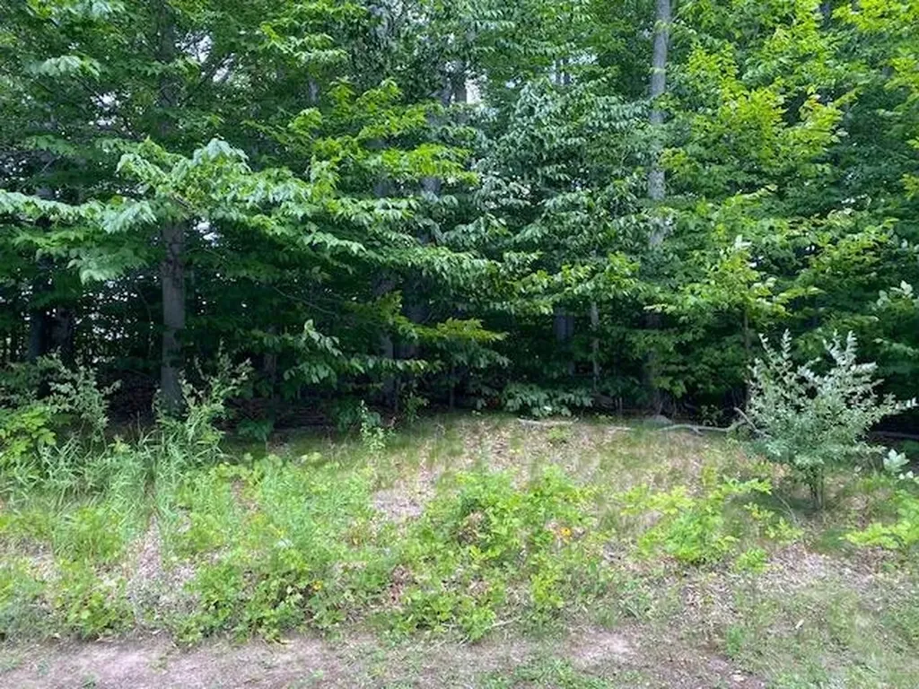 #7 Mooney Way Torch Lake Township MI 49648