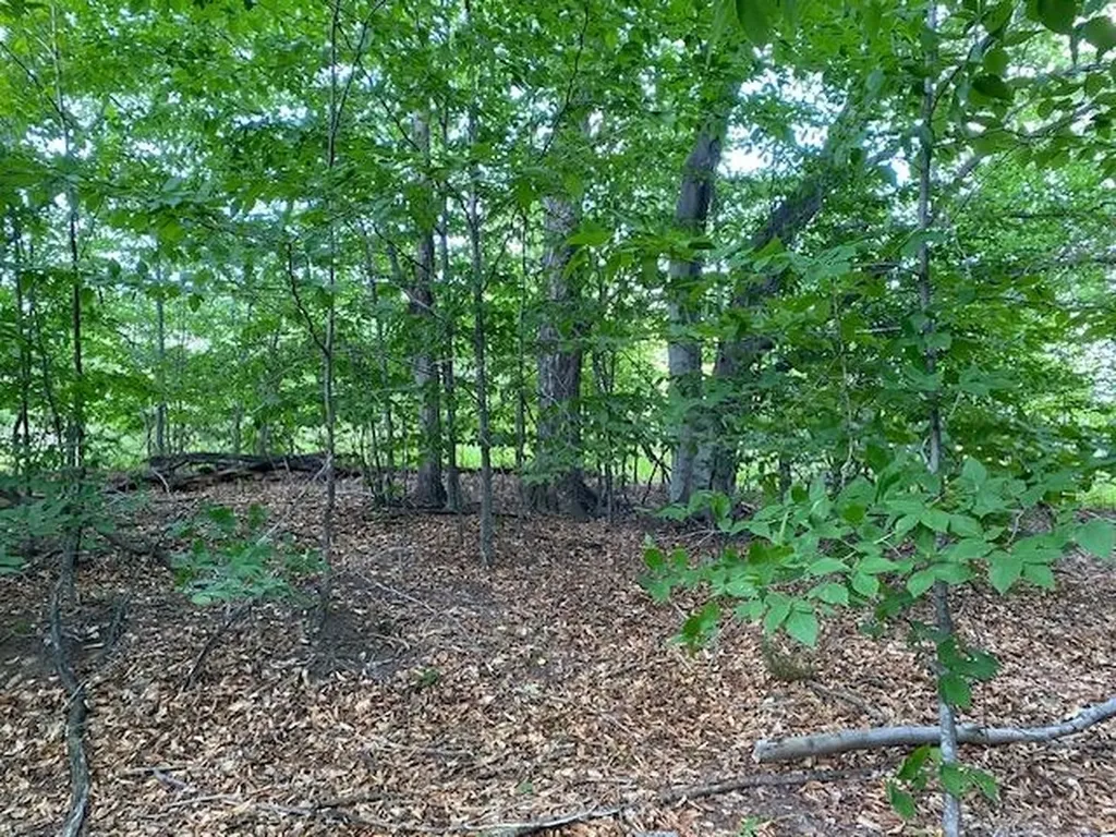 #7 Mooney Way Torch Lake Township MI 49648