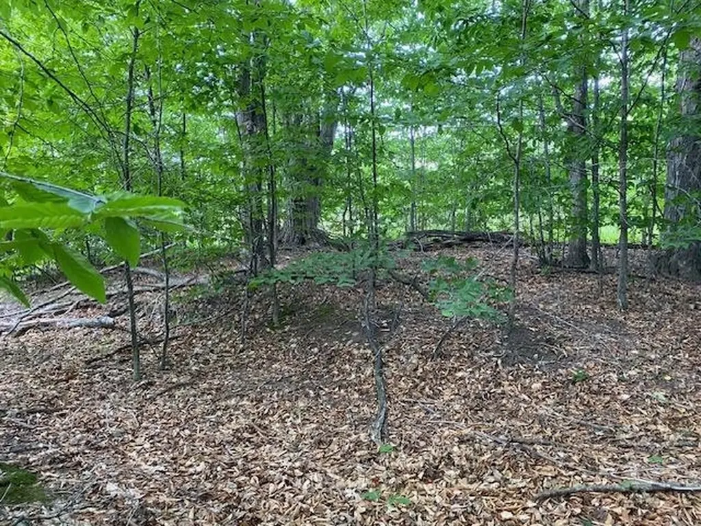#7 Mooney Way Torch Lake Township MI 49648