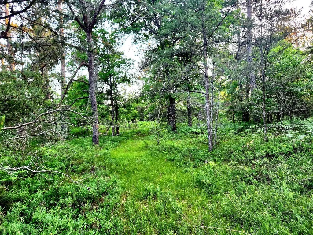 2498 W Five Mile Road Beaver Creek Township MI 49738