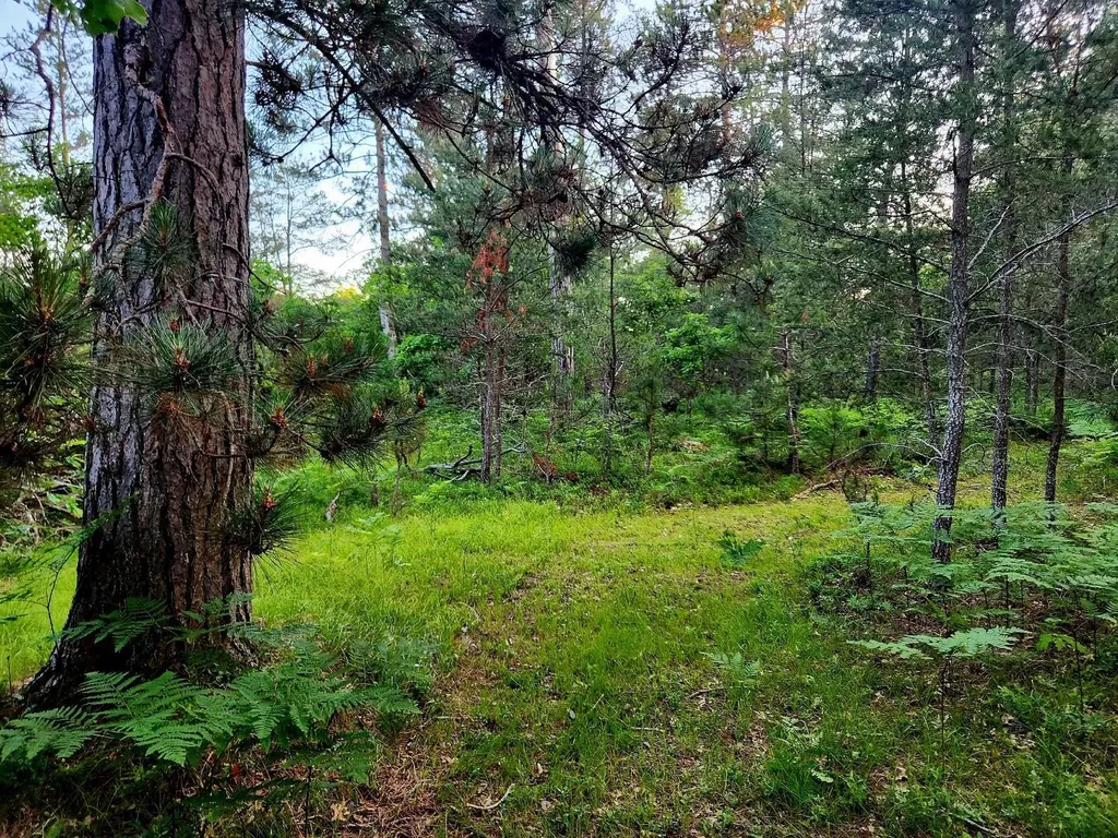 2498 W Five Mile Road Beaver Creek Township MI 49738