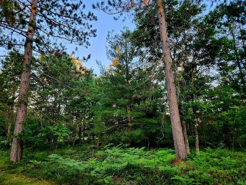2498 W Five Mile Road Beaver Creek Township MI 49738