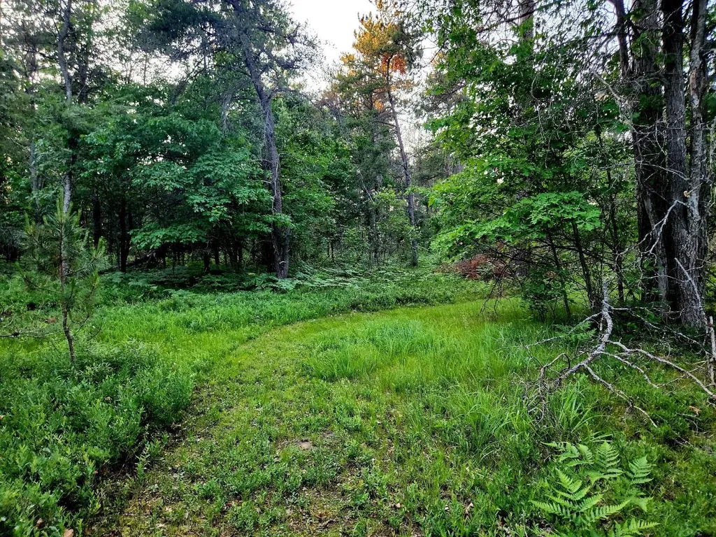 2498 W Five Mile Road Beaver Creek Township MI 49738