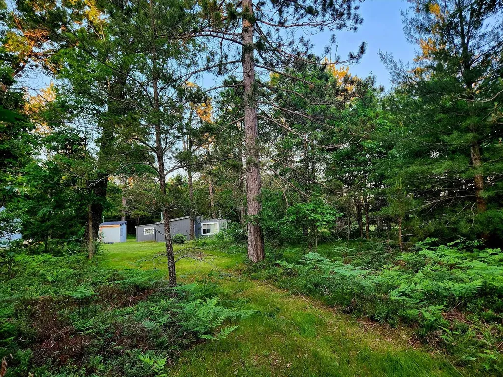 2498 W Five Mile Road Beaver Creek Township MI 49738