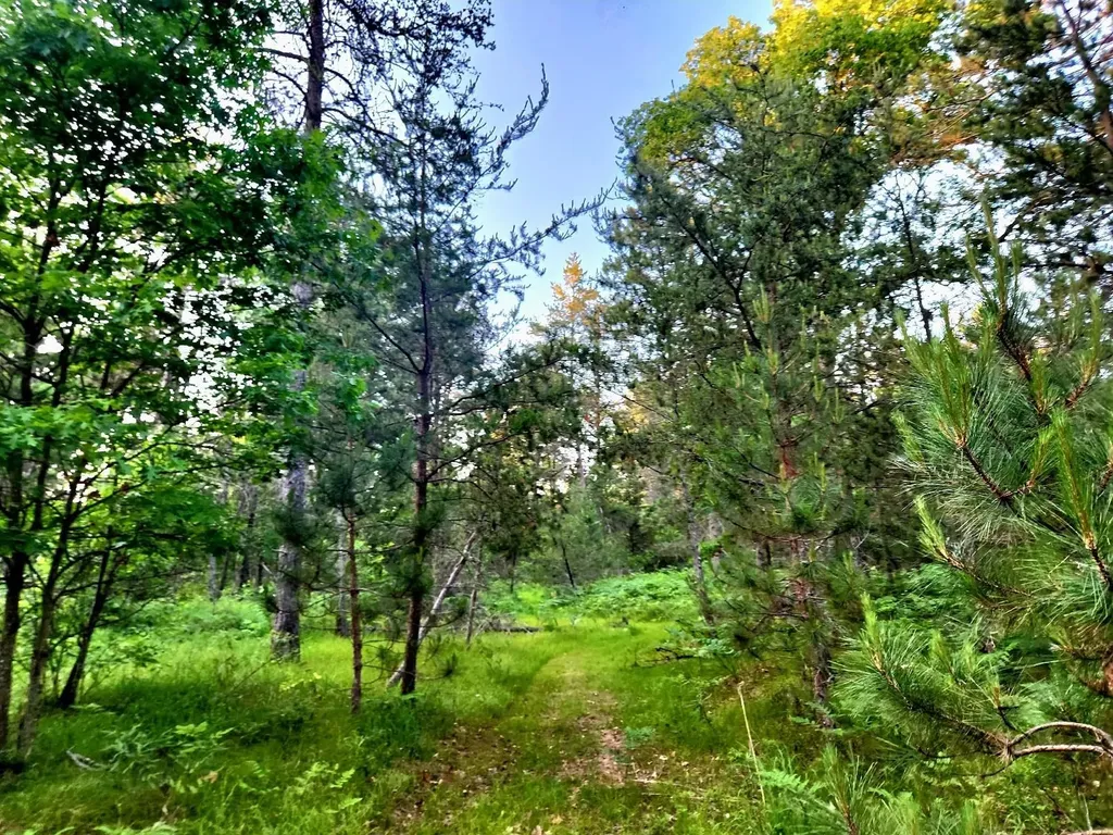 2498 W Five Mile Road Beaver Creek Township MI 49738