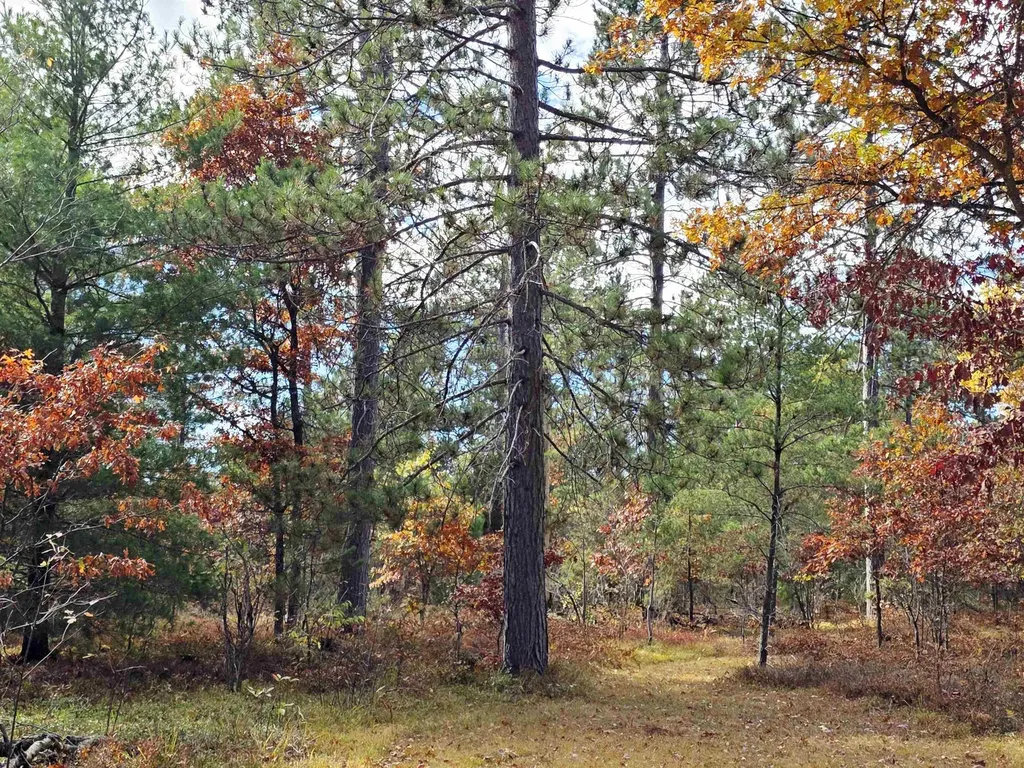 2498 W Five Mile Road Beaver Creek Township MI 49738