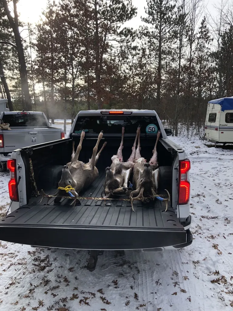 2498 W Five Mile Road Beaver Creek Township MI 49738