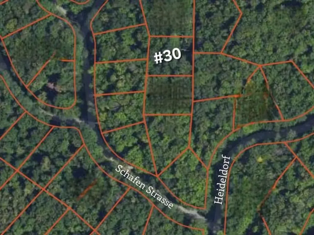 30 Heideldorf Drive Custer Township MI 49615