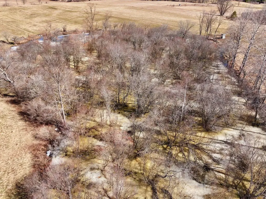 40 Acres 190th Avenue Le Roy Township MI 49655