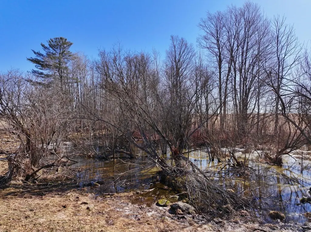 40 Acres 190th Avenue Le Roy Township MI 49655