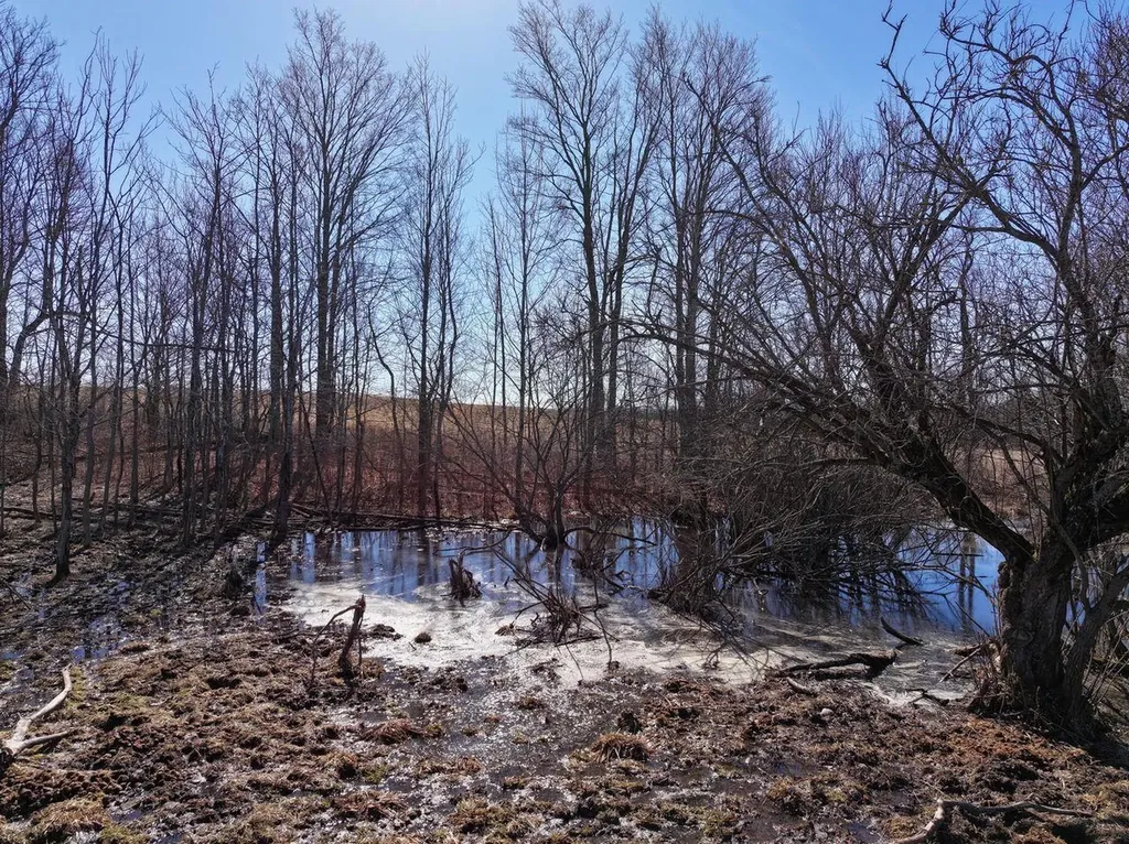 40 Acres 190th Avenue Le Roy Township MI 49655