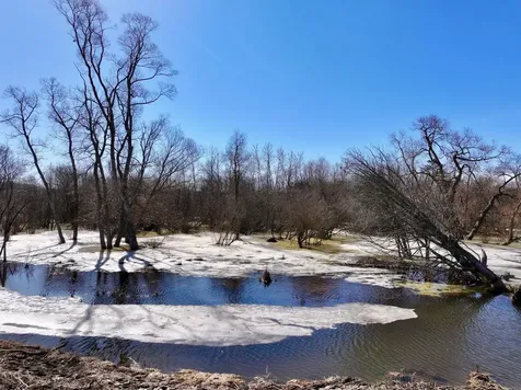 40 ACRES 190TH Avenue Le Roy Township MI 49655