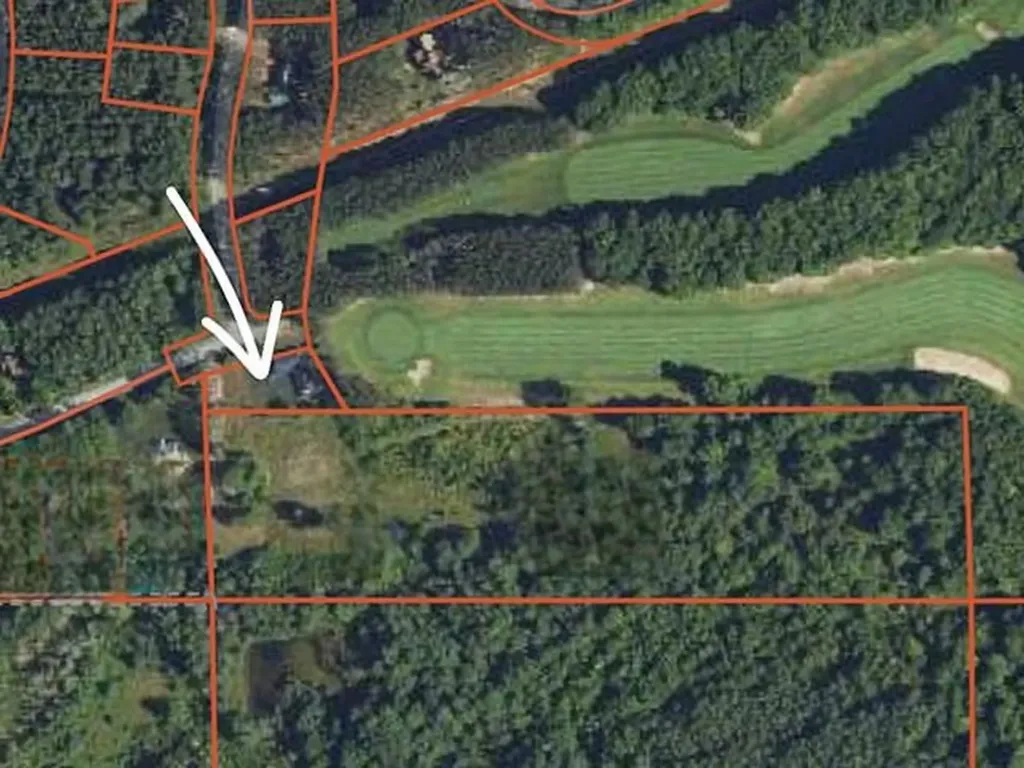 6994 Obervalden Drive Custer Township MI 49615