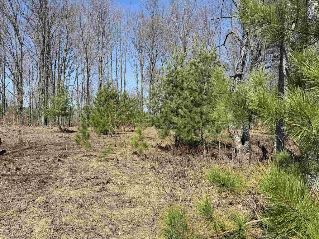 00 Landis Road Weldon Township MI 49683