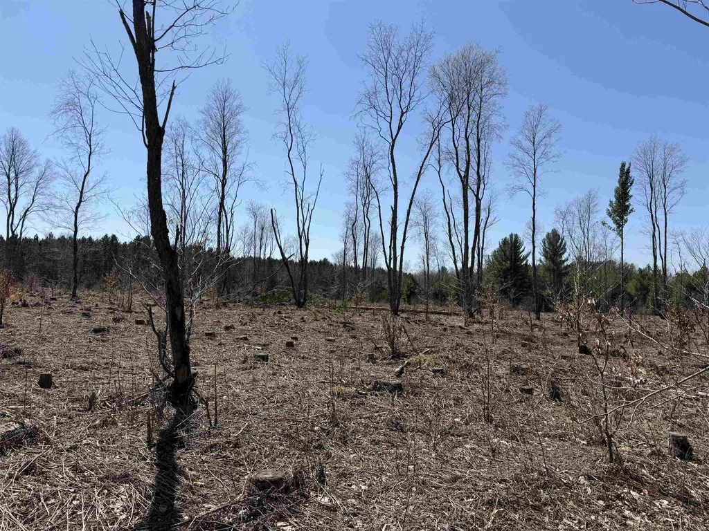 00 Landis Road Weldon Township MI 49683