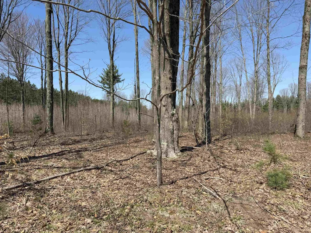 00 Landis Road Weldon Township MI 49683