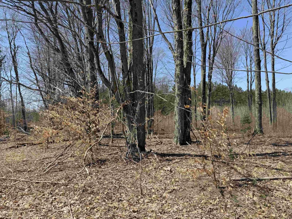 00 Landis Road Weldon Township MI 49683