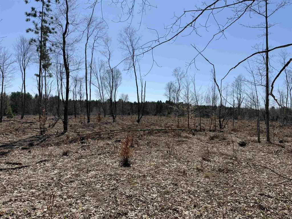 00 Landis Road Weldon Township MI 49683