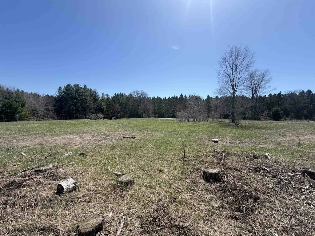 00 Landis Road Weldon Township MI 49683