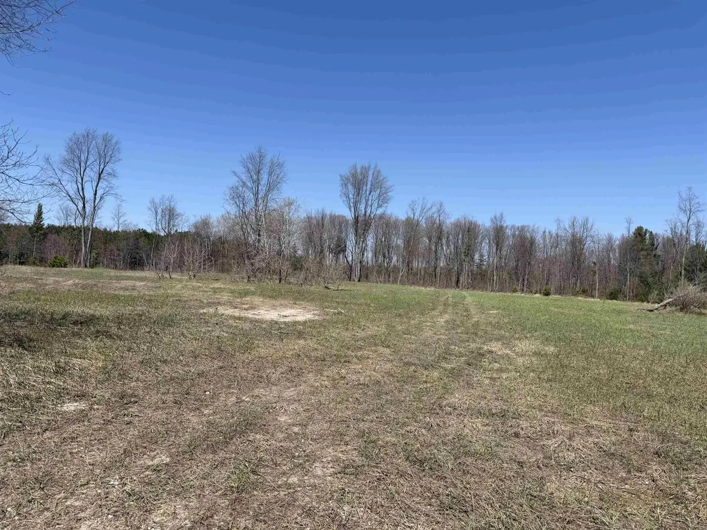 00 Landis Road Weldon Township MI 49683