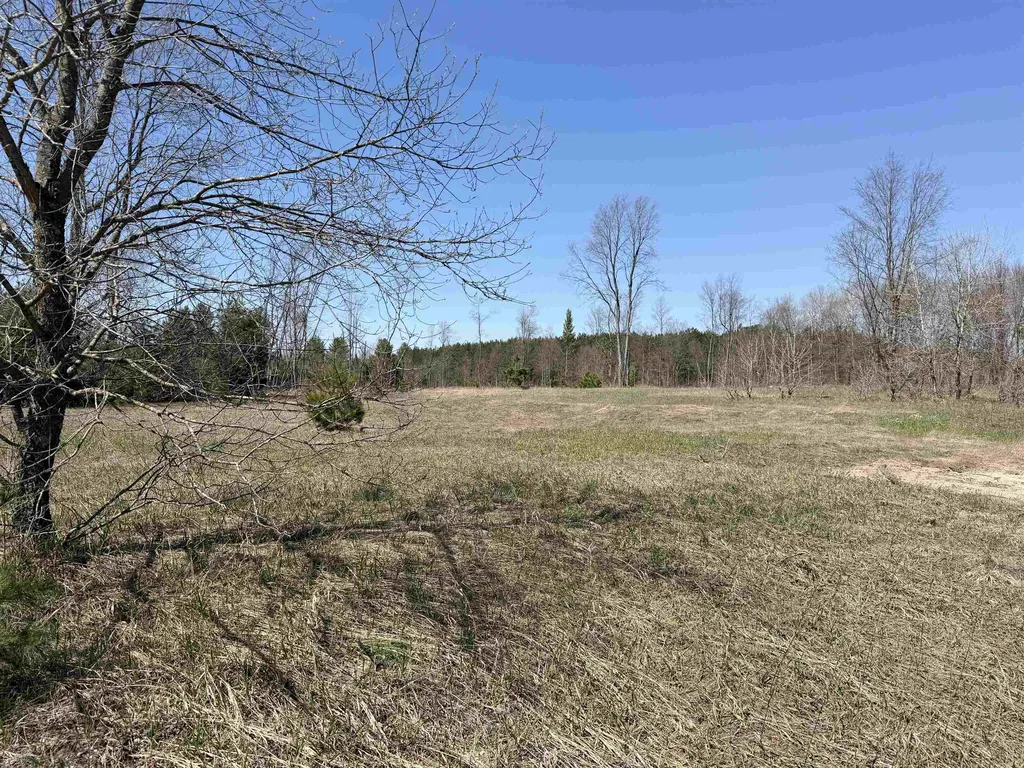00 Landis Road Weldon Township MI 49683