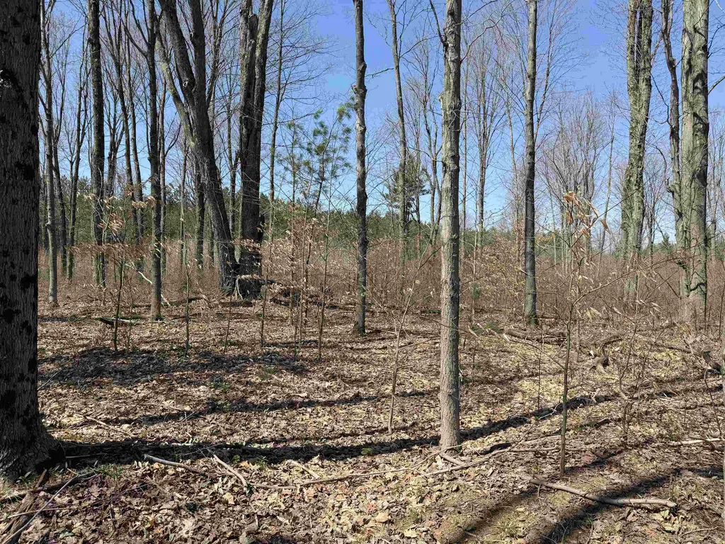 00 Landis Road Weldon Township MI 49683