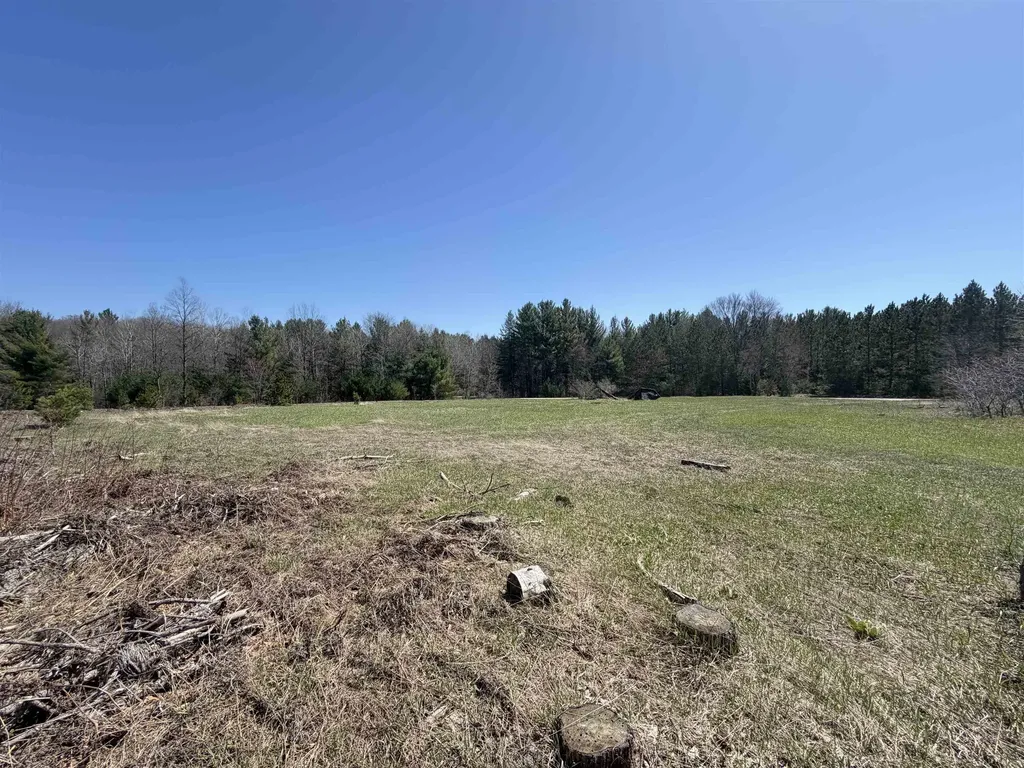 00 Landis Road Weldon Township MI 49683