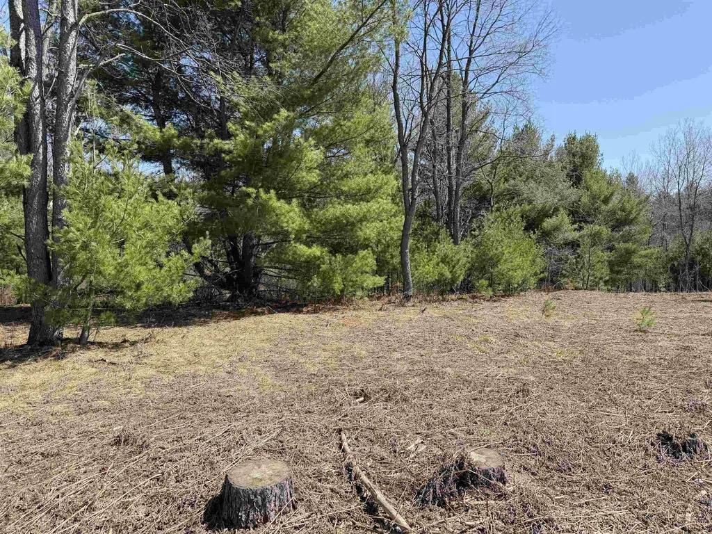 00 Landis Road Weldon Township MI 49683