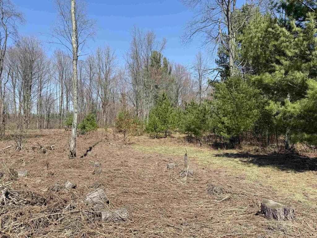 00 Landis Road Weldon Township MI 49683