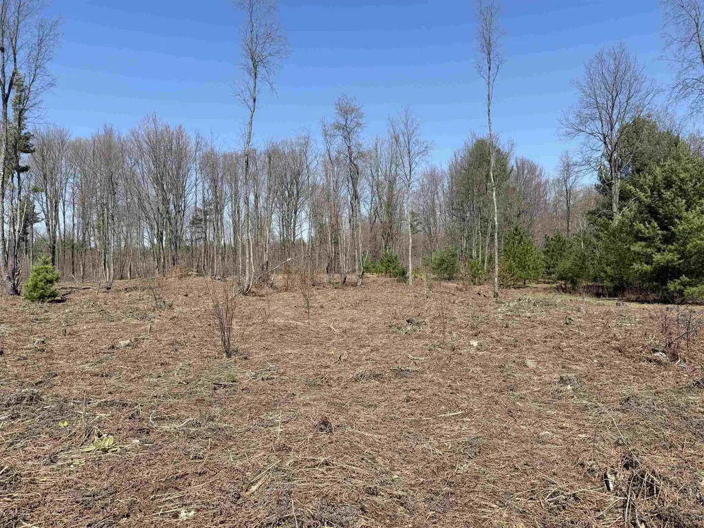 00 Landis Road Weldon Township MI 49683