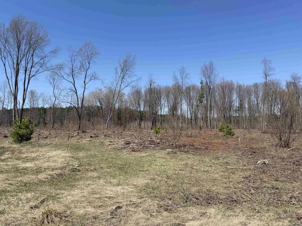 00 Landis Road Weldon Township MI 49683