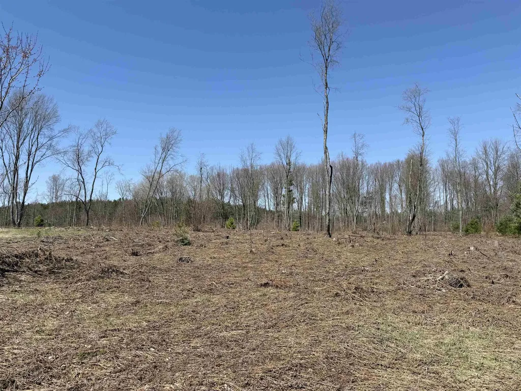 00 Landis Road Weldon Township MI 49683