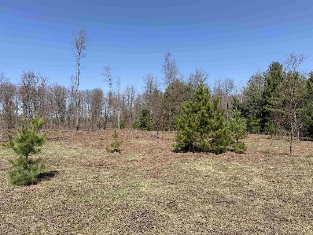 00 Landis Road Weldon Township MI 49683