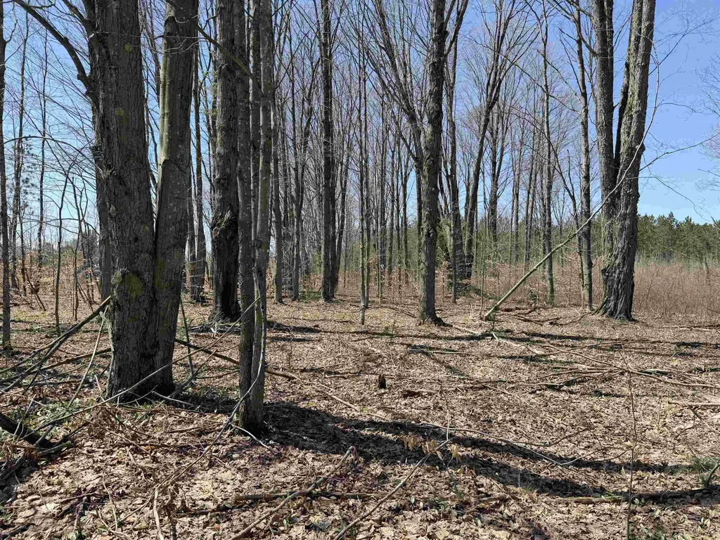 00 Landis Road Weldon Township MI 49683